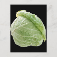 Cabbage Postkarte