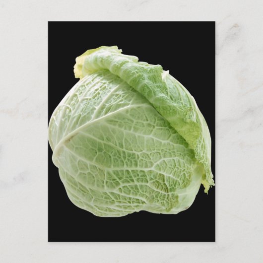Cabbage Postkarte (Vorderseite)