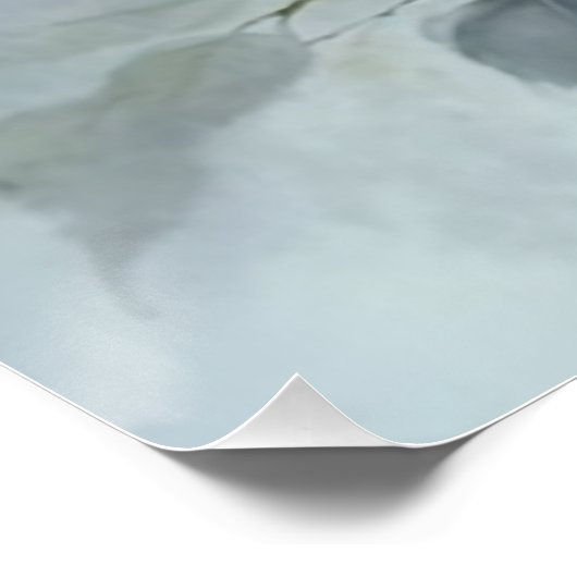 Cabbage-Rose in Vase-Dekoupage Poster (Ecke)