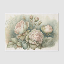 Cabbage-Rose mit grünen Highlights Seidenpapier