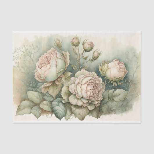 Cabbage-Rose mit grünen Highlights Seidenpapier (Vorderseite)