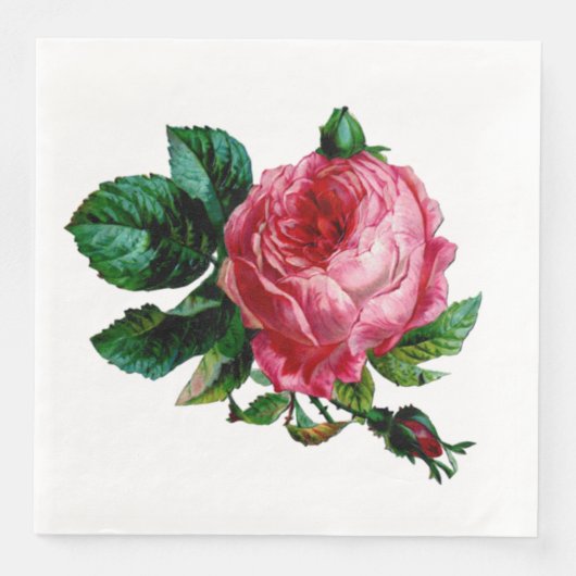 Cabbage Rose Paper Napkins Serviette (Vorderseite)