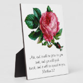 Cabbage Rose Scripting Plaque Fotoplatte (Seite)