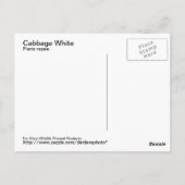 Cabbage White Postcard Postkarte (Rückseite)
