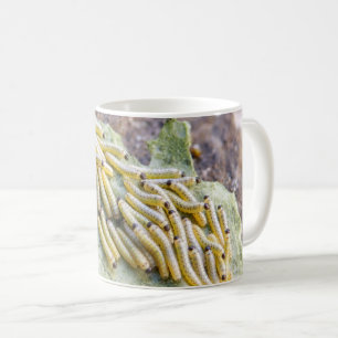 Cabbage White Raupen Bug Tasse