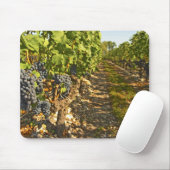 Cabernet Sauvignon in Folge Mousepad (Mit Mouse)