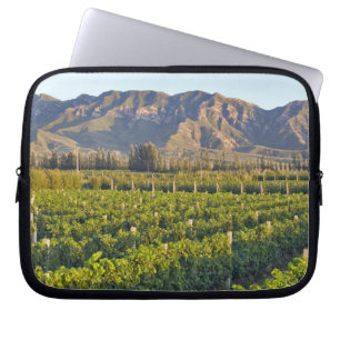 Cabernet Sauvignon-Reben in Huailai Rongchen 2 Laptopschutzhülle
