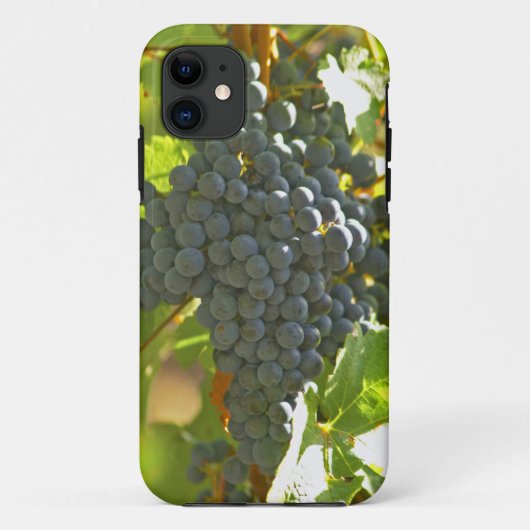 Cabernet Sauvignon Traubchen im Schloss Case-Mate iPhone Hülle (Rückseite)