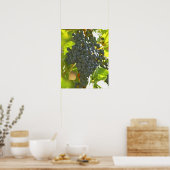 Cabernet Sauvignon Traubensaal im Schloss Poster (Küche)