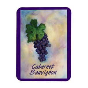 Cabernet Sauvignon Weinkultur und Erde Magnet
