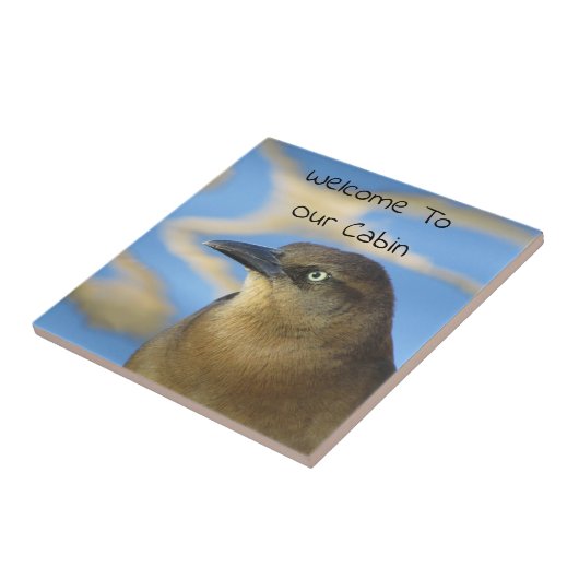 Cabin Welcome Blackbird Rustic Zuhause Guest Fliese (Seite)