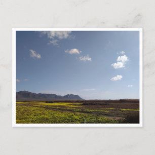 Cabo de Gata, Andalusien (Spanien) Postkarte