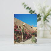 Cabo San Lucas, Baja, Mexiko Blume Postkarte (Stehend Vorderseite)