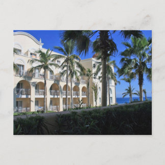 Cabo San Lucas Mexico Palm Trees Blue Sky Postkarte