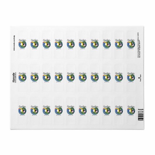 cabo san lucas mexico Reise Patch Foto p (Vorne)