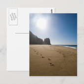 Cabo San Lucas Strand 3 Postkarte (Vorne/Hinten)
