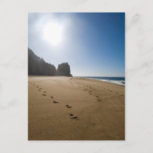 Cabo San Lucas Strand 3 Postkarte