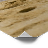 Cabo Seagull 2 Poster (Ecke)