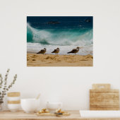 Cabo Seagull 2 Poster (Küche)