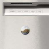 Cabo Vilano (Camariñas. A Coruña) Magnet (In Situ (Geschirrspüler))