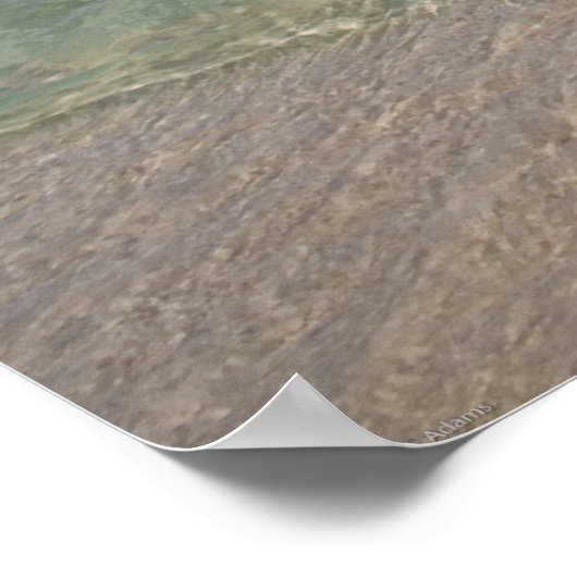 Cabo Water Taxis Poster (Ecke)