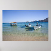 Cabo Water Taxis Poster (Vorne)