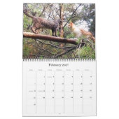 Caboodle-Kalender 2011 Kalender (Feb 2027)