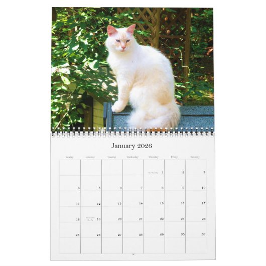 Caboodle-Kalender 2011 Kalender (Jan 2026)