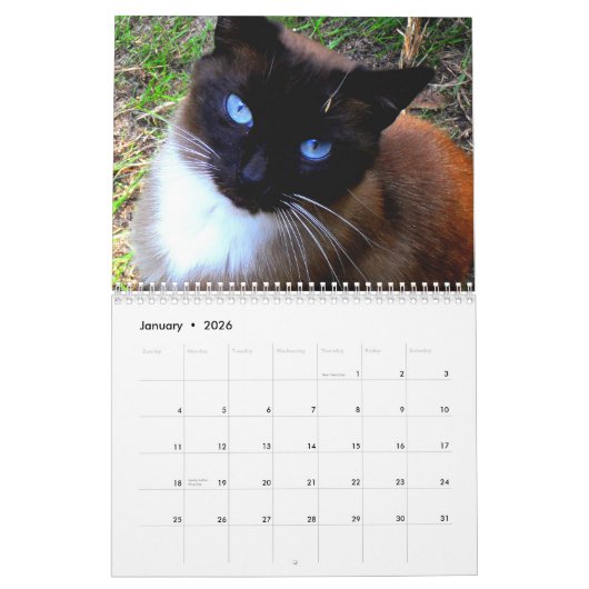 "Caboodle-Ranch-" Kalender (Jan 2026)