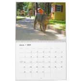 "Caboodle-Ranch-" Kalender (Mär 2027)