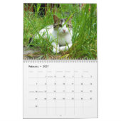 "Caboodle-Ranch-" Kalender (Feb 2027)