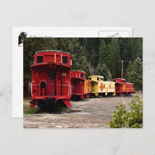 Caboose Line Postcard Postkarte (Vorne/Hinten)