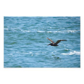 Cabrillo National Monument Fotodruck (Vorne)