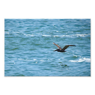 Cabrillo National Monument Fotodruck