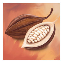 Cacao Pod