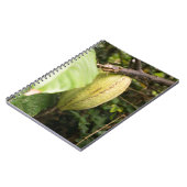 cacao pod notizblock (Linke Seite)