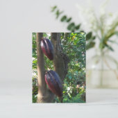 Cacao Tree Postcard Postkarte (Stehend Vorderseite)