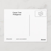 Cacao Tree Postcard Postkarte (Rückseite)