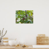 Cacao Tree Poster (Küche)