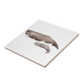 Cachalote, Mutter und Zucht, Fliese (Seite)