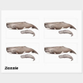 Cachalote, Mutter und Zucht, Rechteckiger Aufkleber (Blatt)