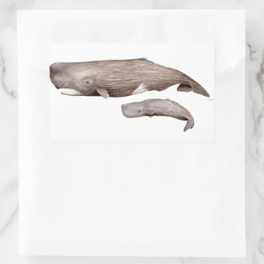 Cachalote, Mutter und Zucht, Rechteckiger Aufkleber (Tasche)