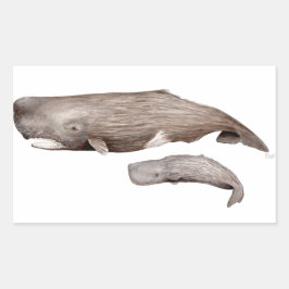 Cachalote, Mutter und Zucht, Rechteckiger Aufkleber