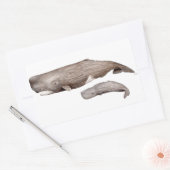 Cachalote, Mutter und Zucht, Rechteckiger Aufkleber (Umschlag)