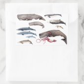 Cachalote und Zifios: Wale der Tiefen Rechteckiger Aufkleber (Tasche)