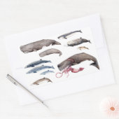 Cachalote und Zifios: Wale der Tiefen Rechteckiger Aufkleber (Umschlag)