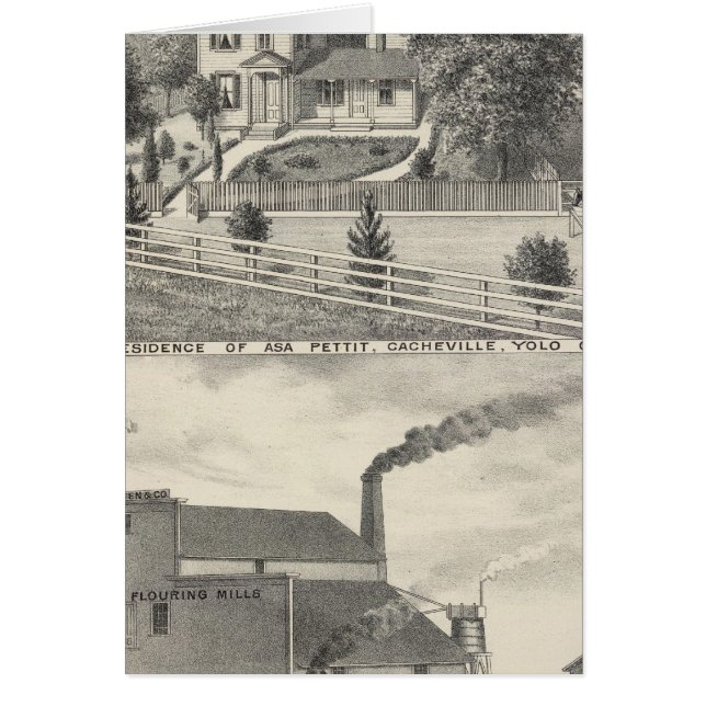 Cacheville res, Madison (Vorne)
