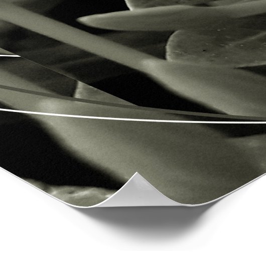 CAcho de Botões Poster (Ecke)