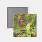 Cacoa Tree in Hawaii Magnet (Vorderseite/Rückseite)