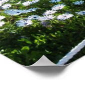 CACTI AM STRAND ROSARITO MEXICO POSTER (Ecke)